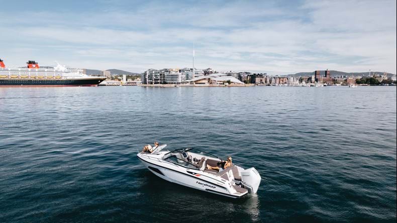 Daycruiser Buyers Guide